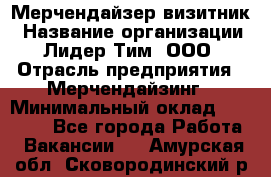 Мерчендайзер-визитник › Название организации ­ Лидер Тим, ООО › Отрасль предприятия ­ Мерчендайзинг › Минимальный оклад ­ 23 000 - Все города Работа » Вакансии   . Амурская обл.,Сковородинский р-н